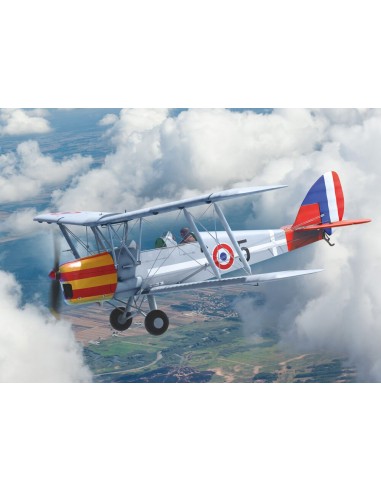 DH.82A Tiger Moth of the World Air Forces 