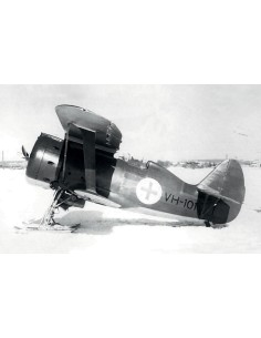 I-153,WWII Finnish Air Force Fighter winter version 