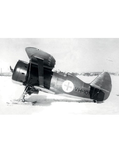 I-153,WWII Finnish Air Force Fighter winter version 