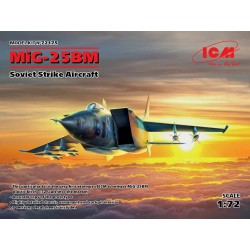 MiG-25 BM, Soviet Strike Aircraft 