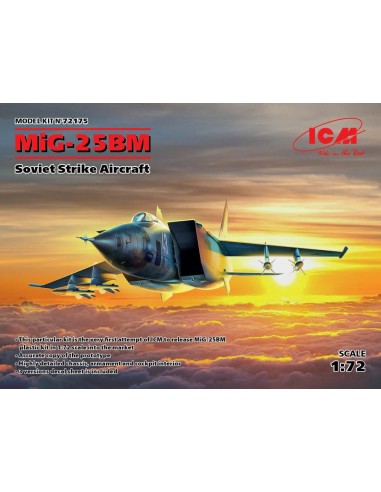 MiG-25 BM, Soviet Strike Aircraft 