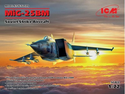 MiG-25 BM, Soviet Strike Aircraft 