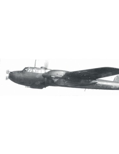 Do 215B-5 WWII German Night Fighter 
