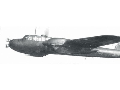 Do 215B-5 WWII German Night Fighter 