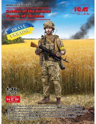 Soldier of the Armed Forces of Ukraine(100% new molds) 