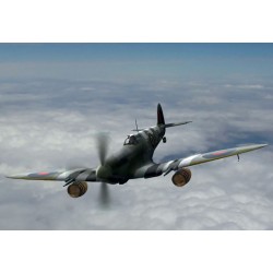 Spitfire Mk.IXC "Beer Delivery" WWII British Fighter 