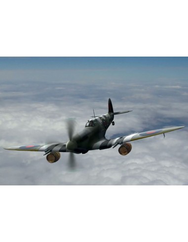 Spitfire Mk.IXC "Beer Delivery" WWII British Fighter 