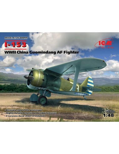 I-153,WWII China Guomindang AF Fighter 