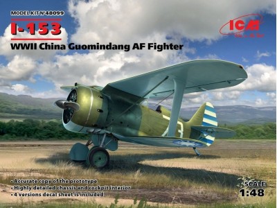 I-153,WWII China Guomindang AF Fighter 