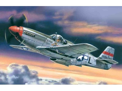 Mustang P-51C American Fighter 