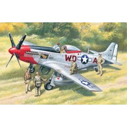 Mustang P-51D WWII American Fighter with USAAF Pilots and Ground Personnel 