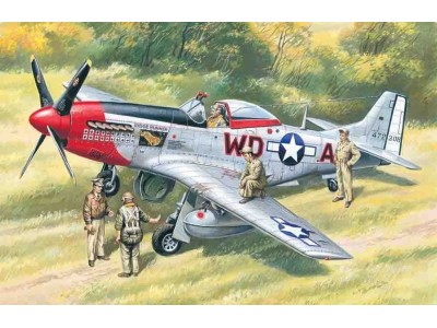 Mustang P-51D WWII American Fighter with USAAF Pilots and Ground Personnel 