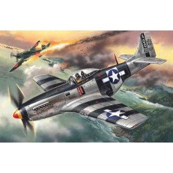 Mustang P-51K, WWII American Fighter 