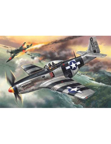 Mustang P-51K, WWII American Fighter 