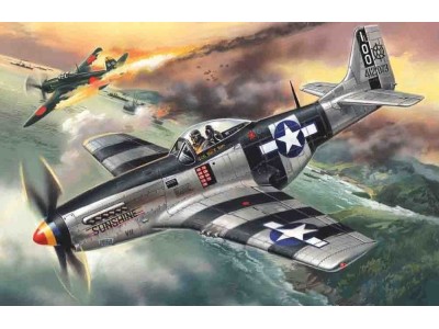 Mustang P-51K, WWII American Fighter 