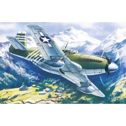 Mustang P-51A  WWII American Fighter 