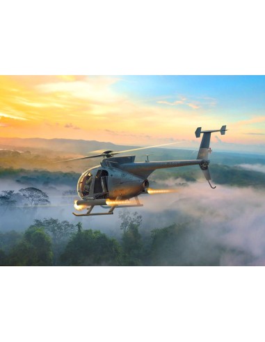 AH-6J Little Bird, US Special Forces Attack Helicopter 