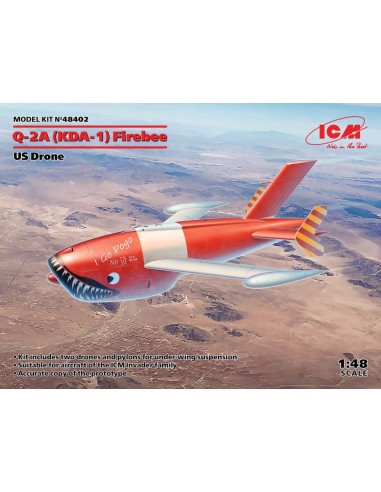 Q-2A (KDA-1) Firebee, US Drone (2 airplanes and pilons) 