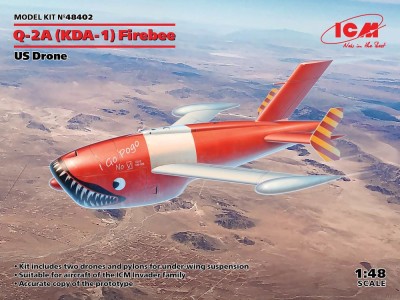 Q-2A (KDA-1) Firebee, US Drone (2 airplanes and pilons) 