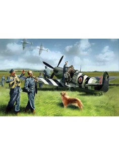 Spitfire Mk IX with RAF Pilots /Ground Crew 