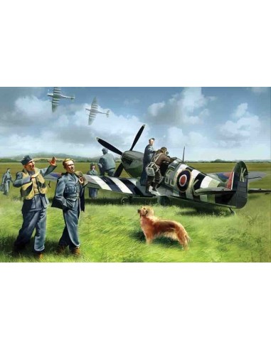 Spitfire Mk IX with RAF Pilots /Ground Crew 