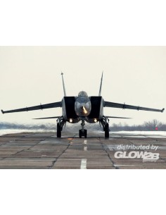 MiG-25 RB Sovit Reconnaissance Plane 