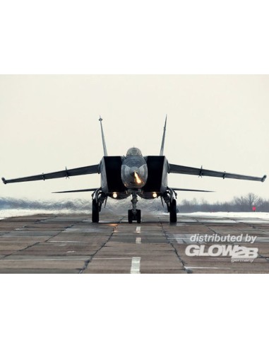 MiG-25 RB Sovit Reconnaissance Plane 