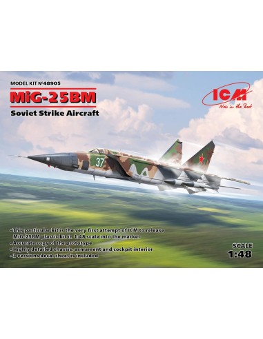 MiG-25 BM, Soviet Strike Aircraft 