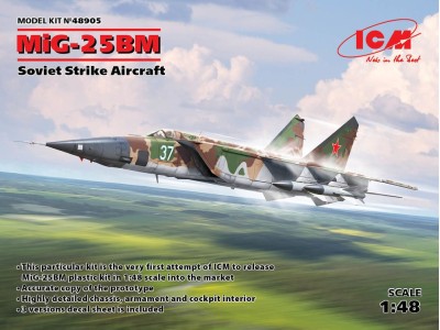MiG-25 BM, Soviet Strike Aircraft 