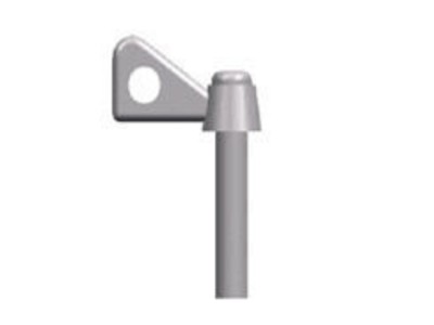 Single Wing Nuts (German Version) 