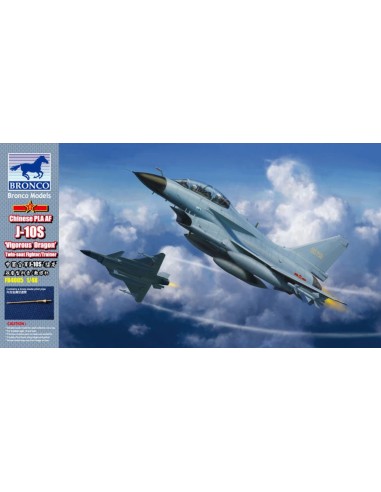 Chinese J-10S Fighter (Twins seats) 