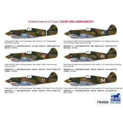 Curtiss Hawk 81-A2'AVG'(Special Edition  2