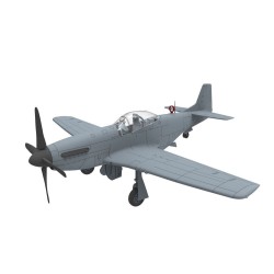 PLA P-51D/K Mustang (1949 Parade) 