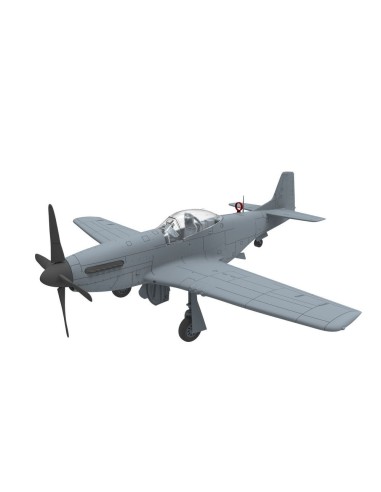 PLA P-51D/K Mustang (1949 Parade) 