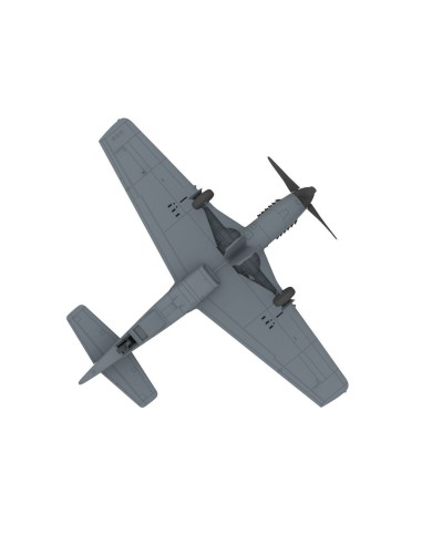 PLA P-51D/K Mustang (1949 Parade) 