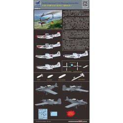 North American F-51D Mustang Korean War 