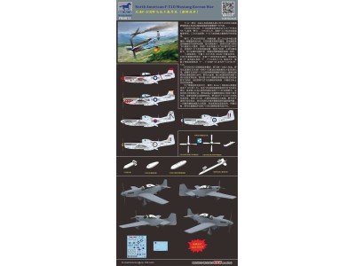 North American F-51D Mustang Korean War 