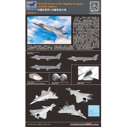 PLA Air Force J-20 "Mighty Dragon" stealth fighter 