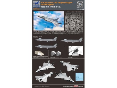 PLA Air Force J-20 "Mighty Dragon" stealth fighter 