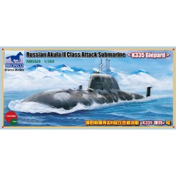 Russian Akula II Class Attack Submarine `K335 Giepard' 