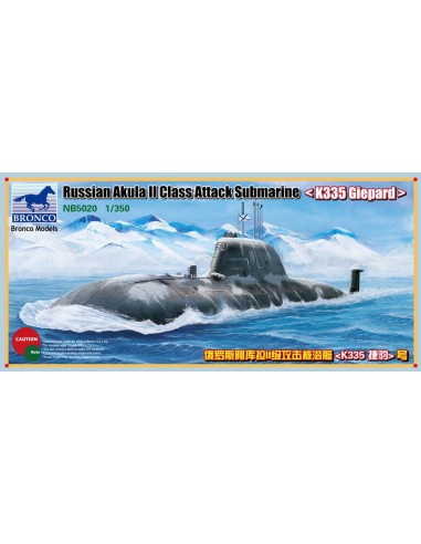 Russian Akula II Class Attack Submarine `K335 Giepard' 