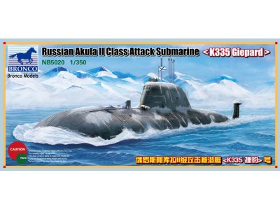 Russian Akula II Class Attack Submarine `K335 Giepard' 