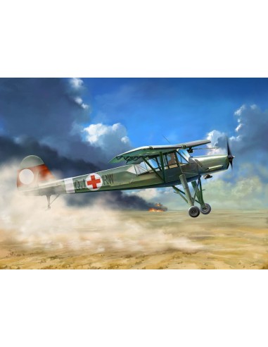 Fieseler Fi-156 D-1 Storch 
