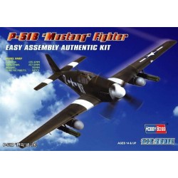 P-51B 'Mustang' Fighter 
