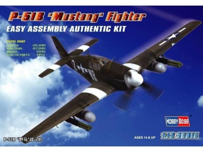 P-51B 'Mustang' Fighter 