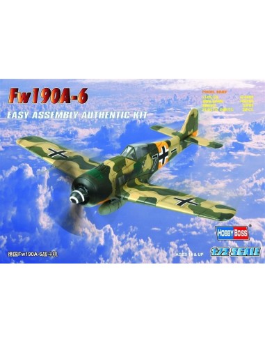Germany Fw190A-6 Fighter 