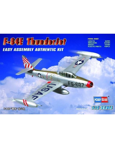 American F-84E 'Thunderjet' 