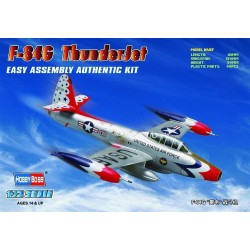 American F-84G 'ThunderJet' 