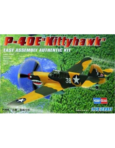 P-40E ''Kitty hawk'' 