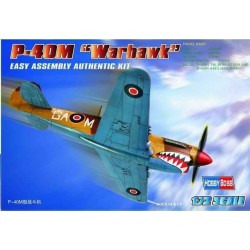 P-40M ''Kitty hawk'' 